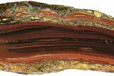 Polished Tiger Iron Stromatolite Slab - Billion Years #239607-1